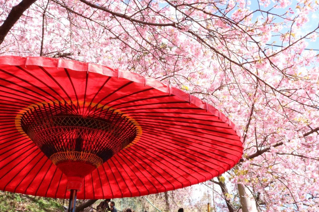 Stay Sakura Kyoto Gion Miyagawacho Luaran gambar